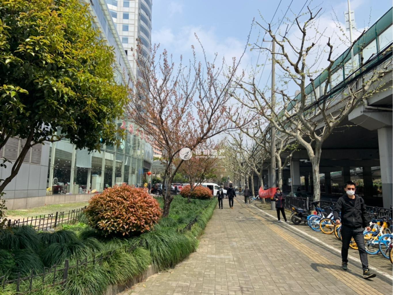 曹杨中关村科技大厦143平米写字楼出租