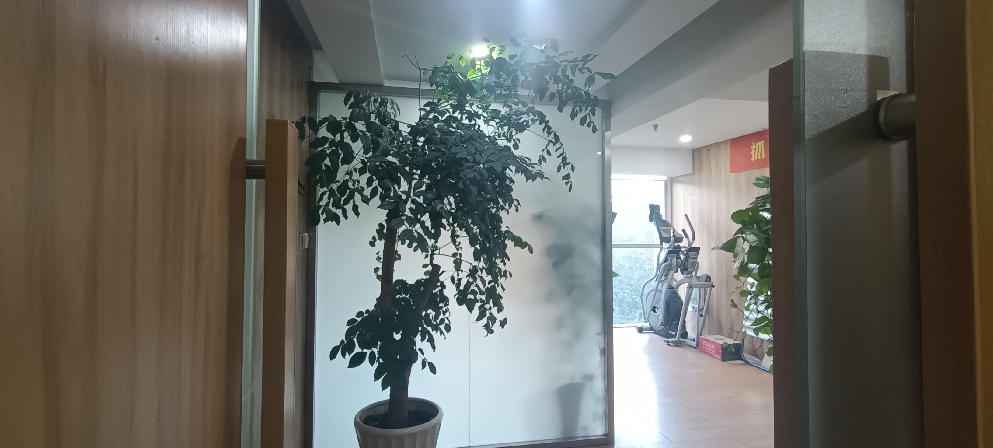 莘庄绿地蓝海68平米写字楼出租