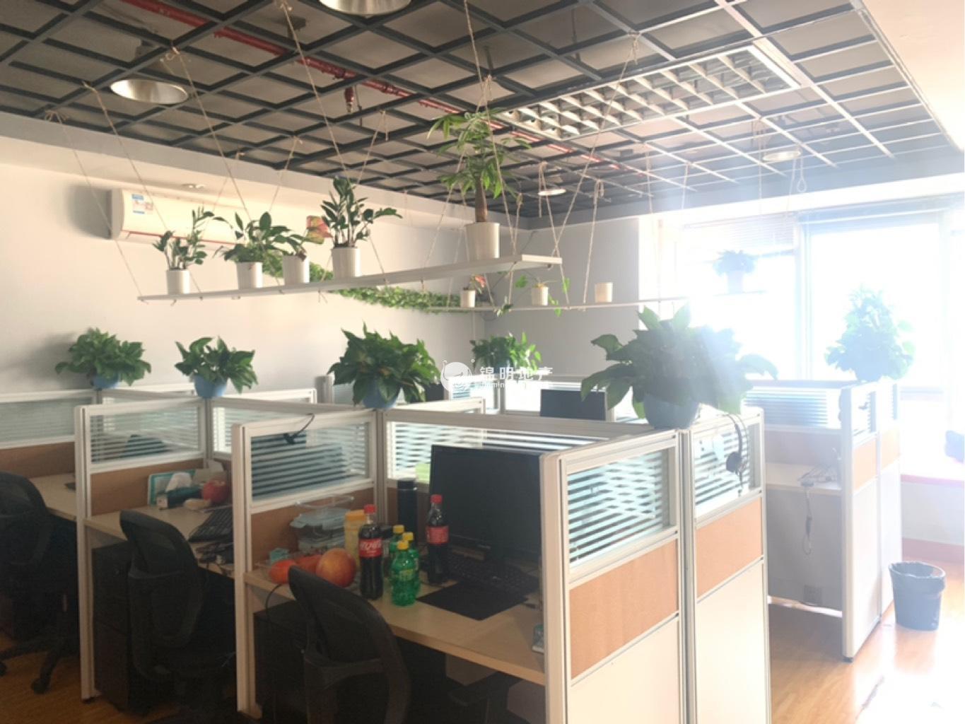 曹杨绿地同创大厦78平米写字楼出租