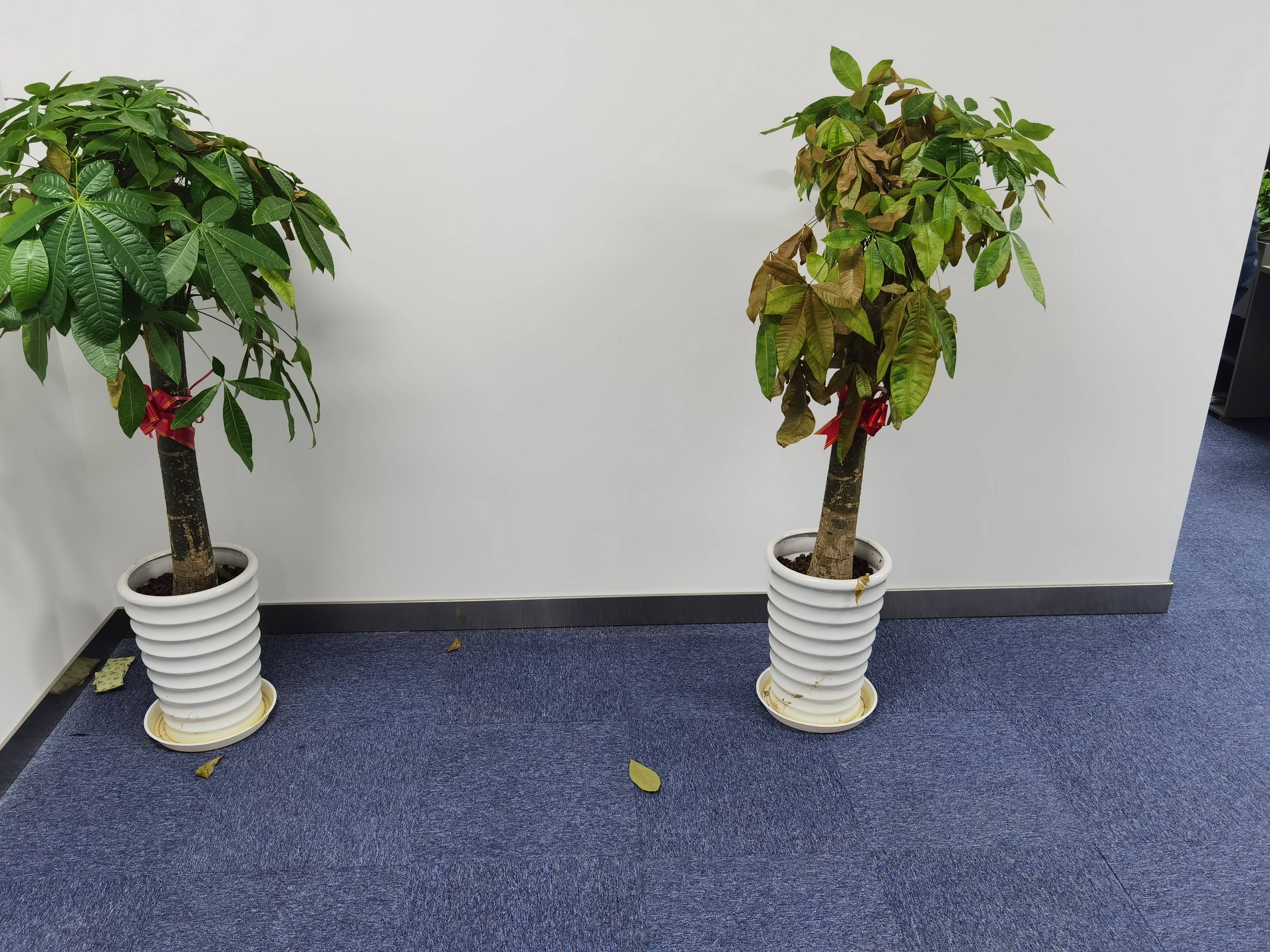 四川北路嘉杰国际广场217平米写字楼出租