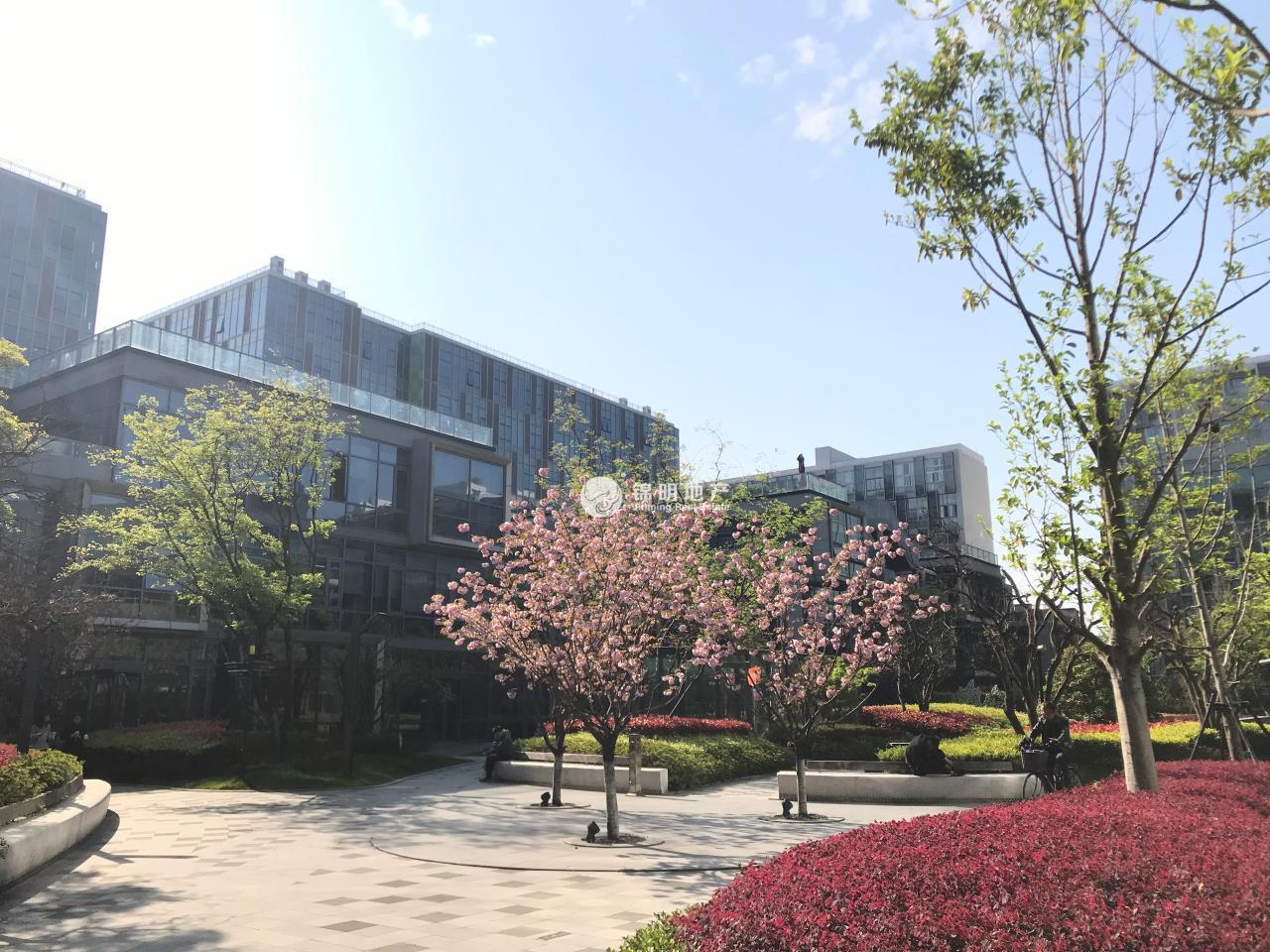 七宝万科七宝国际114平米写字楼出租