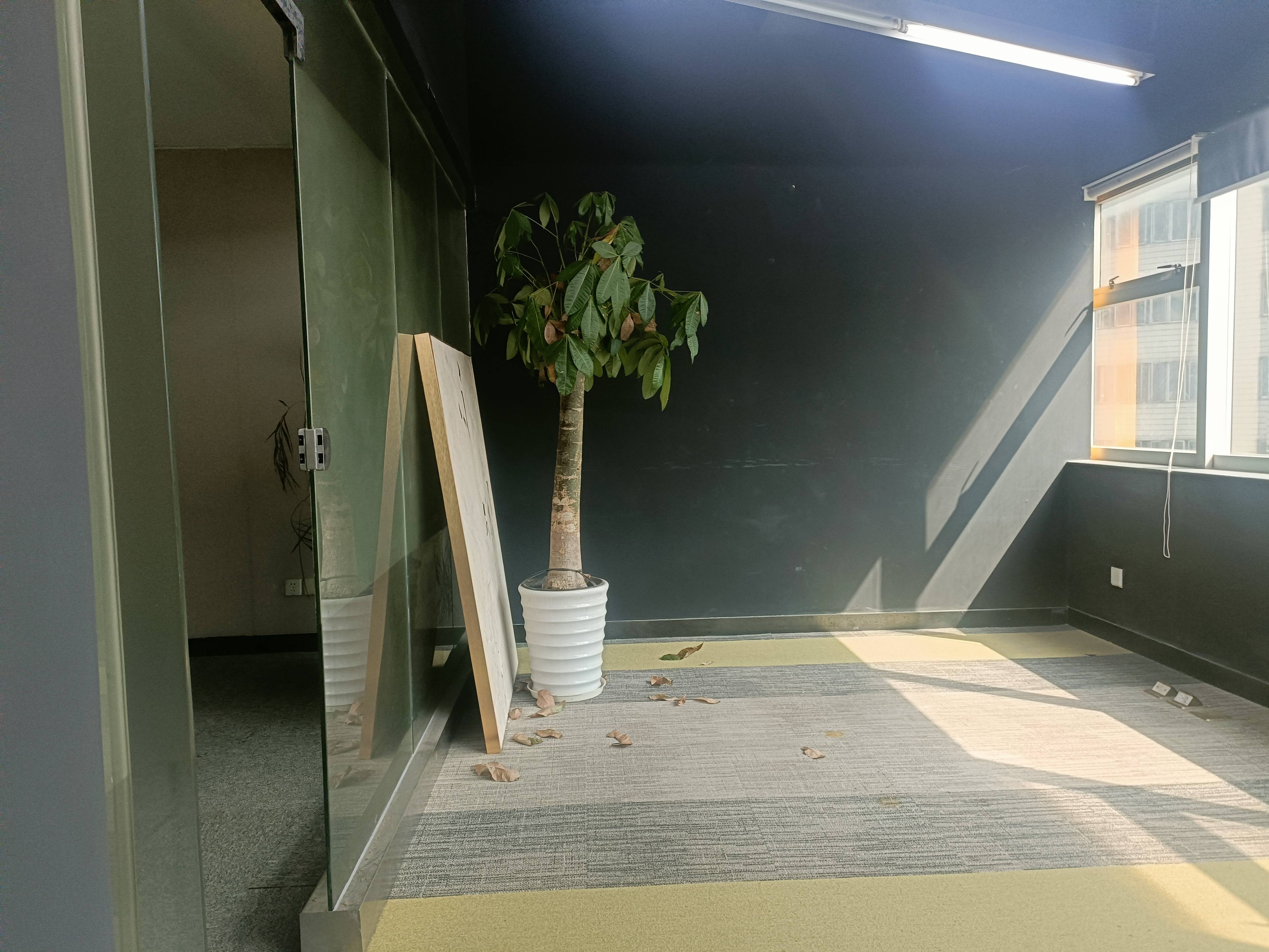 打浦桥海丽大厦146平米写字楼出租