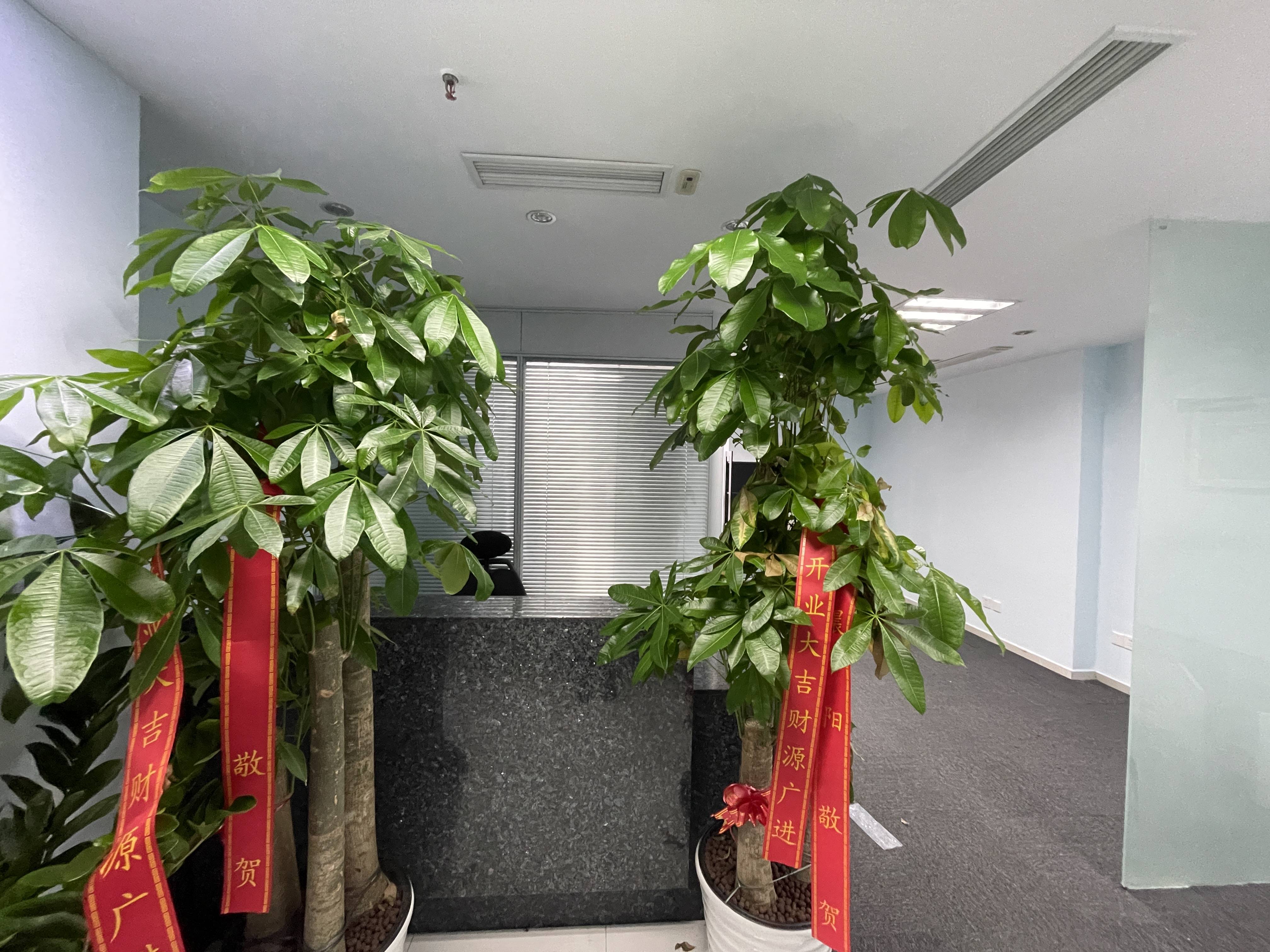 曹杨绿地科创大厦89平米写字楼出租