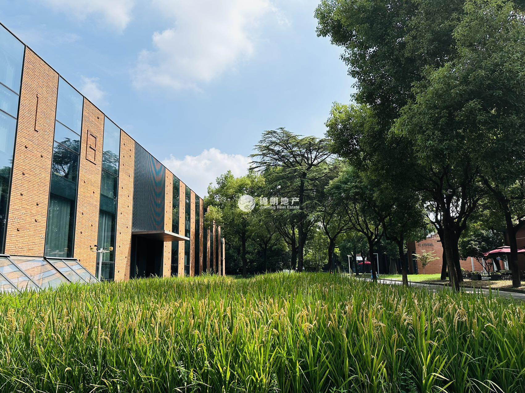 田林 越界田林坊395平米写字楼出租