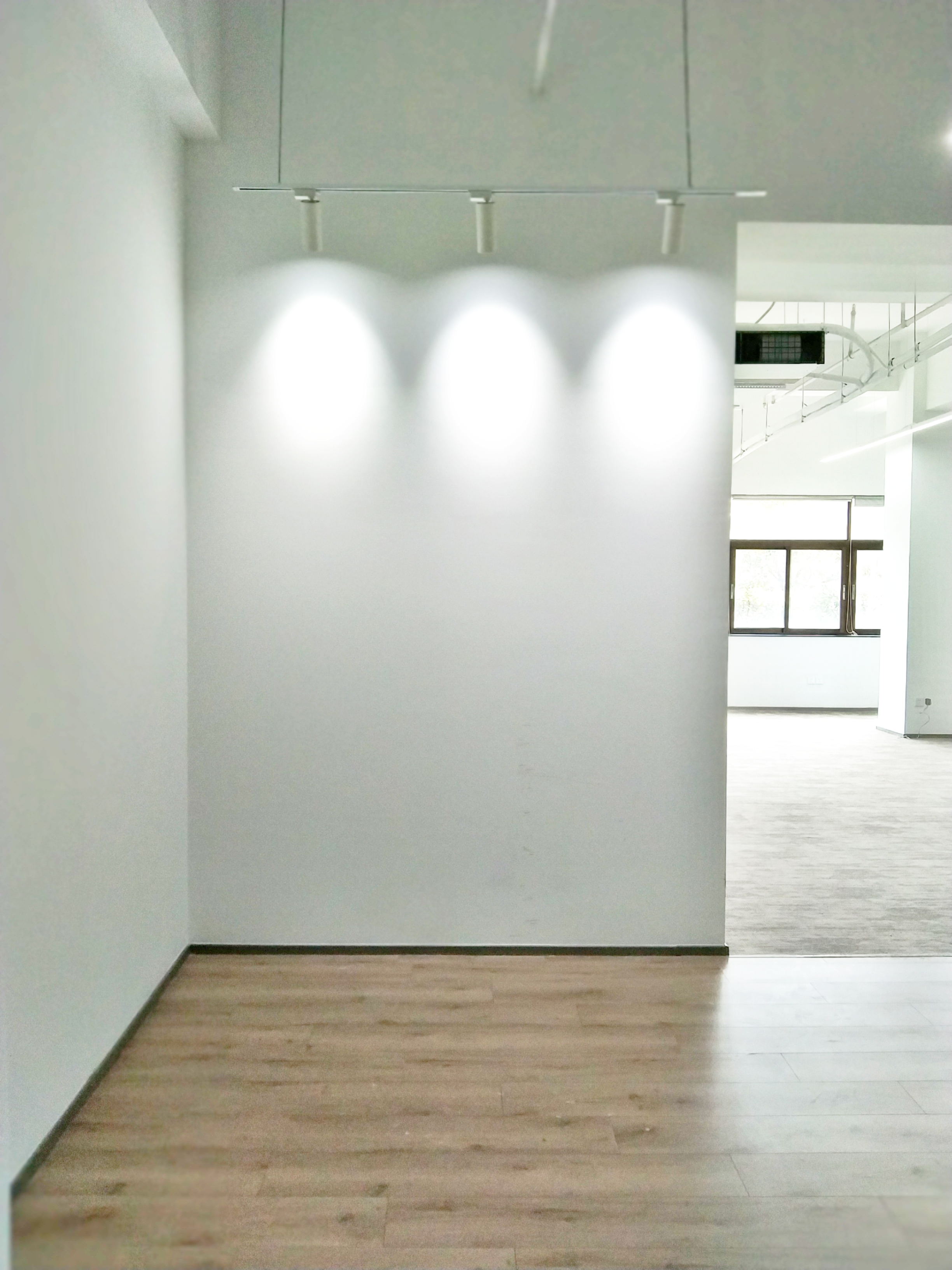 漕河泾漕河泾虹钦园243平米写字楼出租