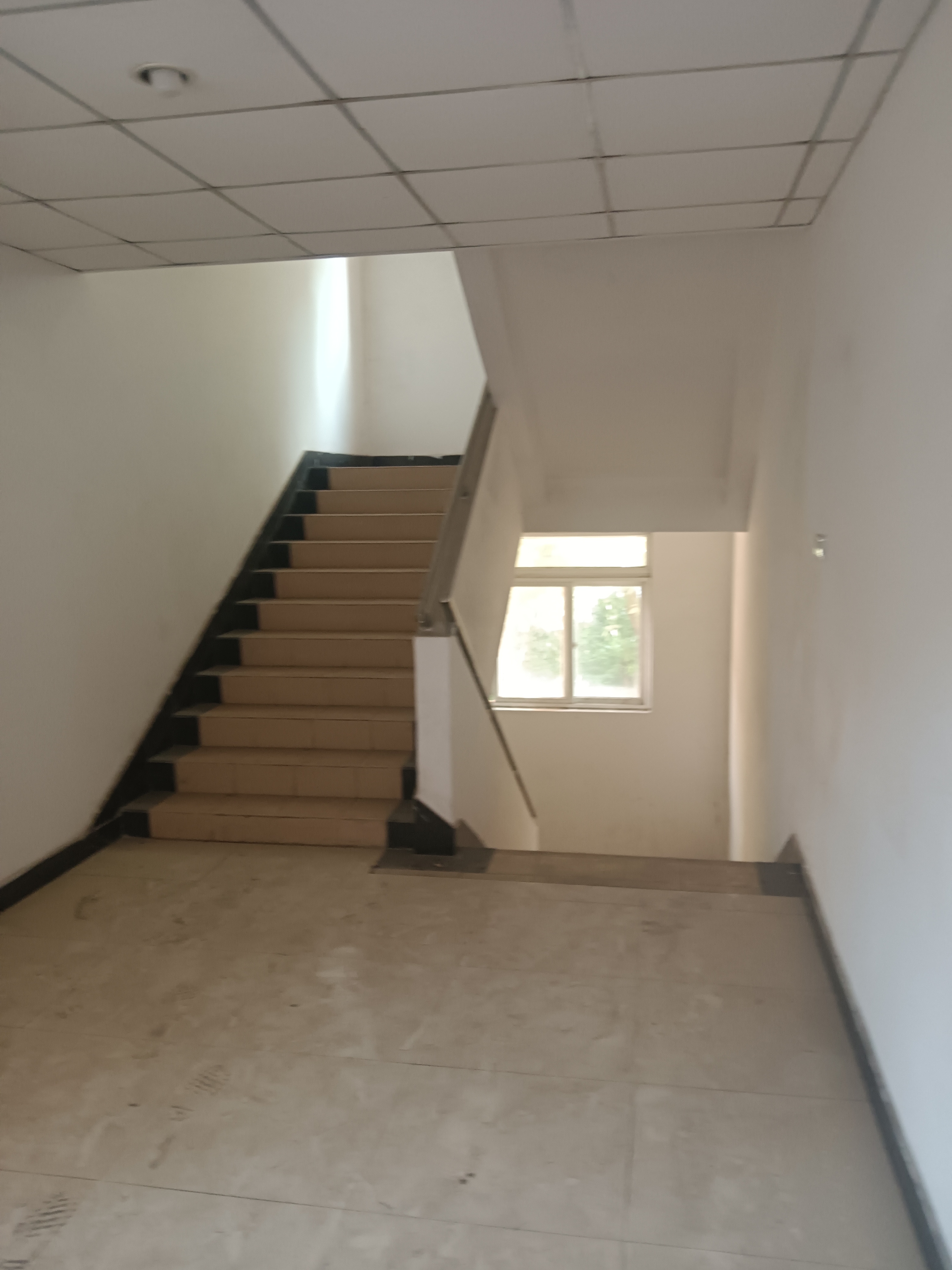 闸北公园锦灏佳园3694平米写字楼出售