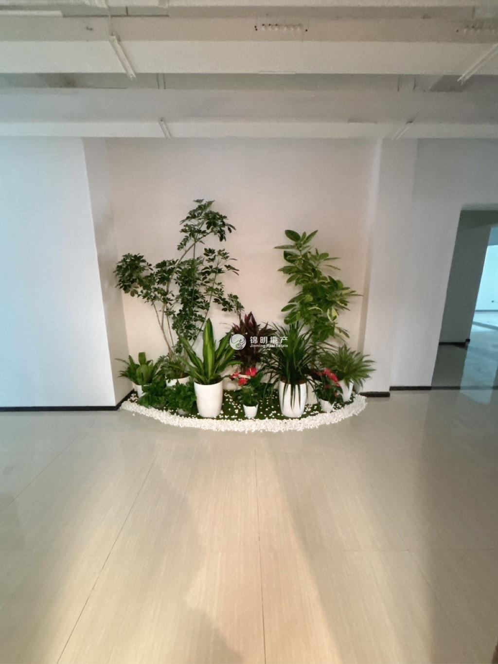 不夜城金岸610创意园82平米写字楼出租