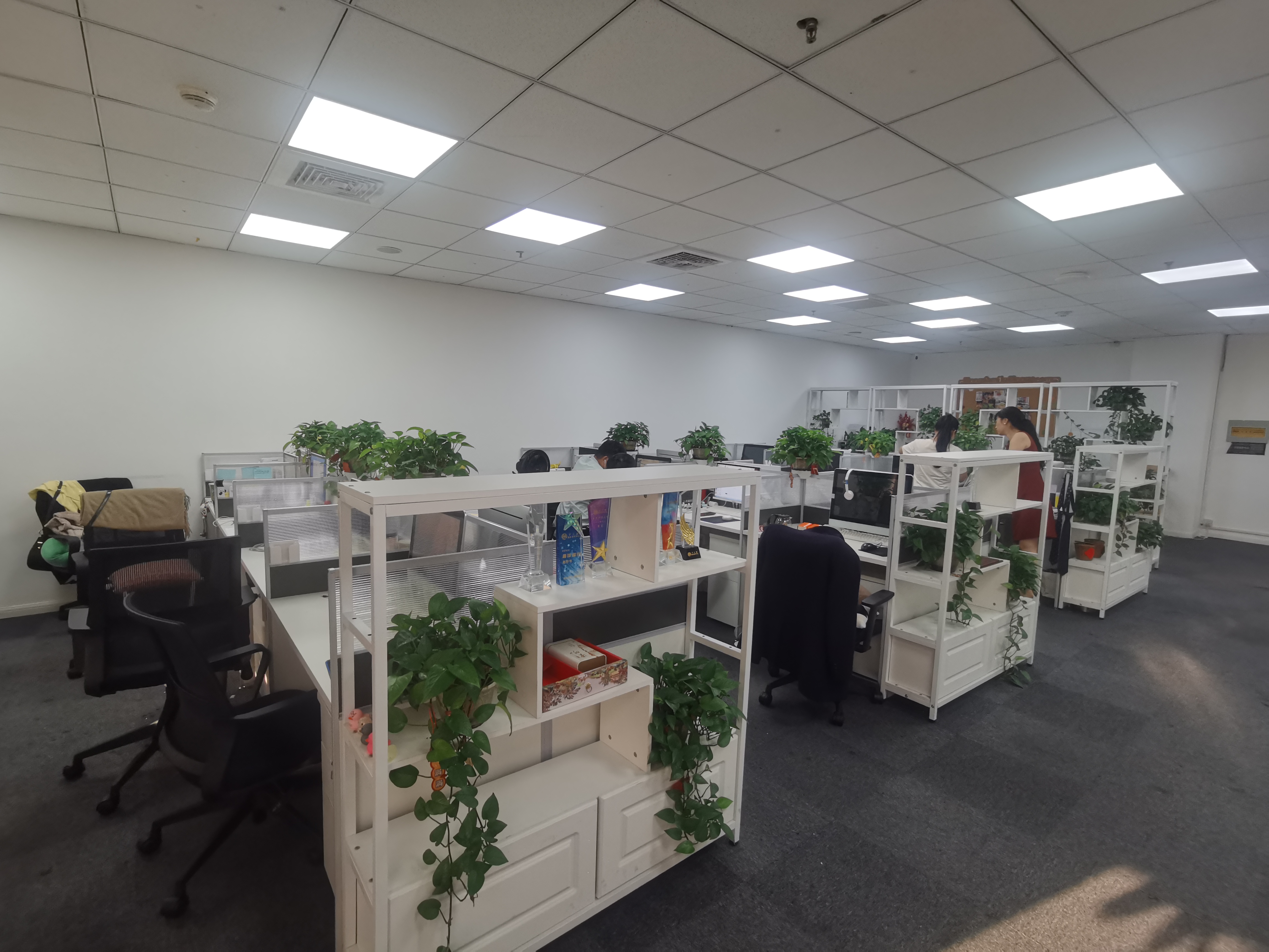 陆家嘴世界广场220平米写字楼出租