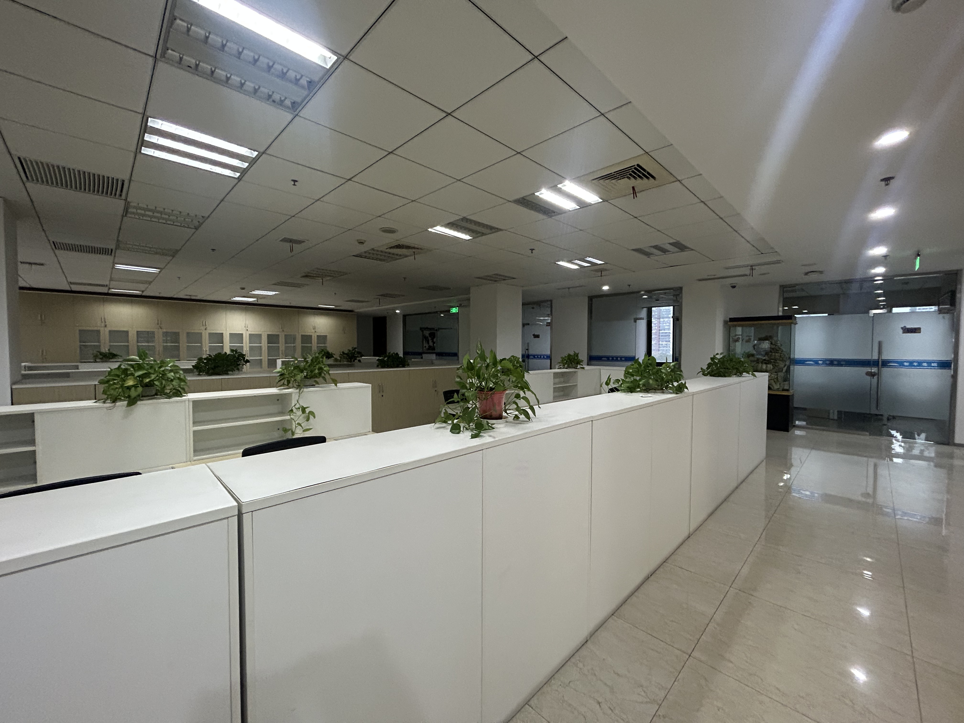 大宁明园森林都市-办公楼888平米写字楼出租