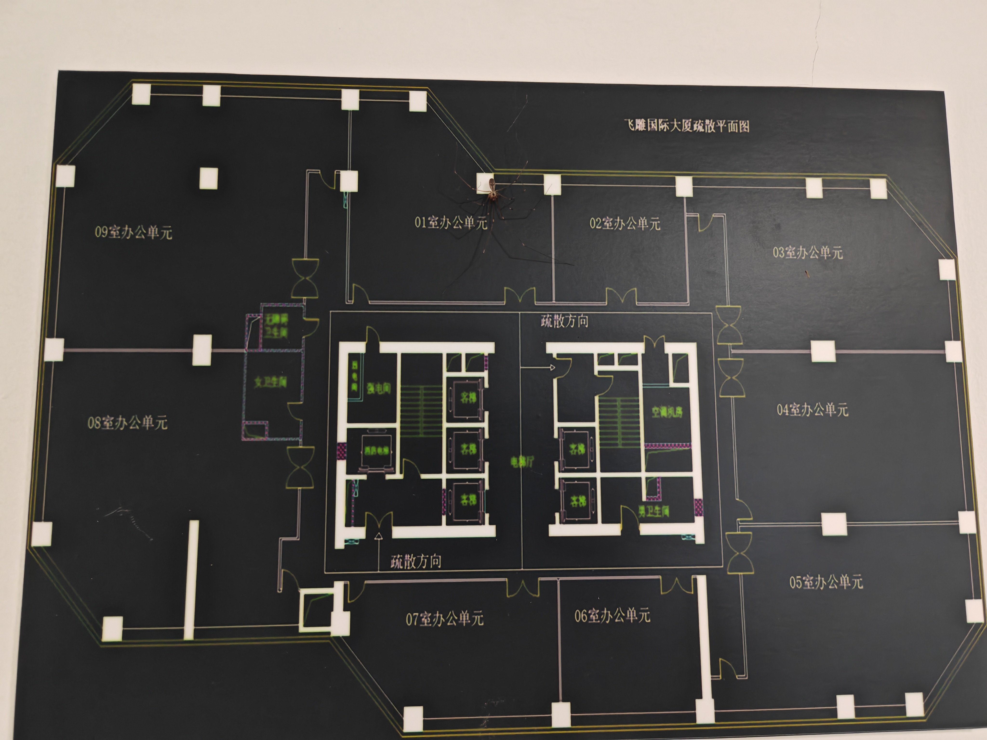徐家汇飞雕国际大厦232平米写字楼出租