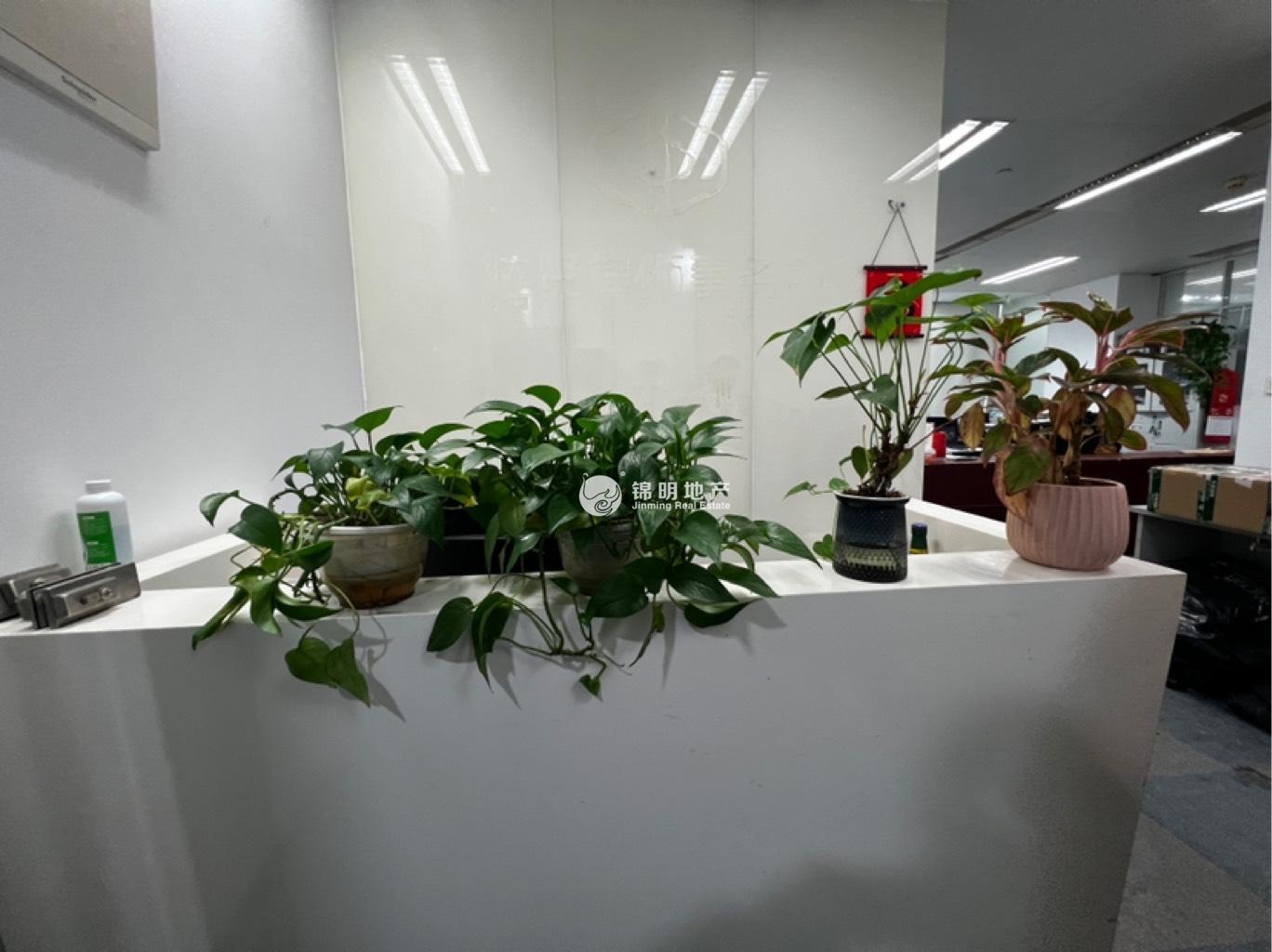 世博滨江绿地海外滩168平米写字楼出租