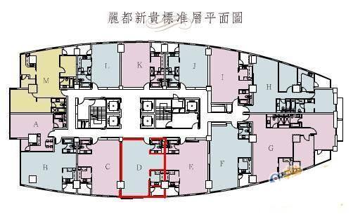 丽都新贵