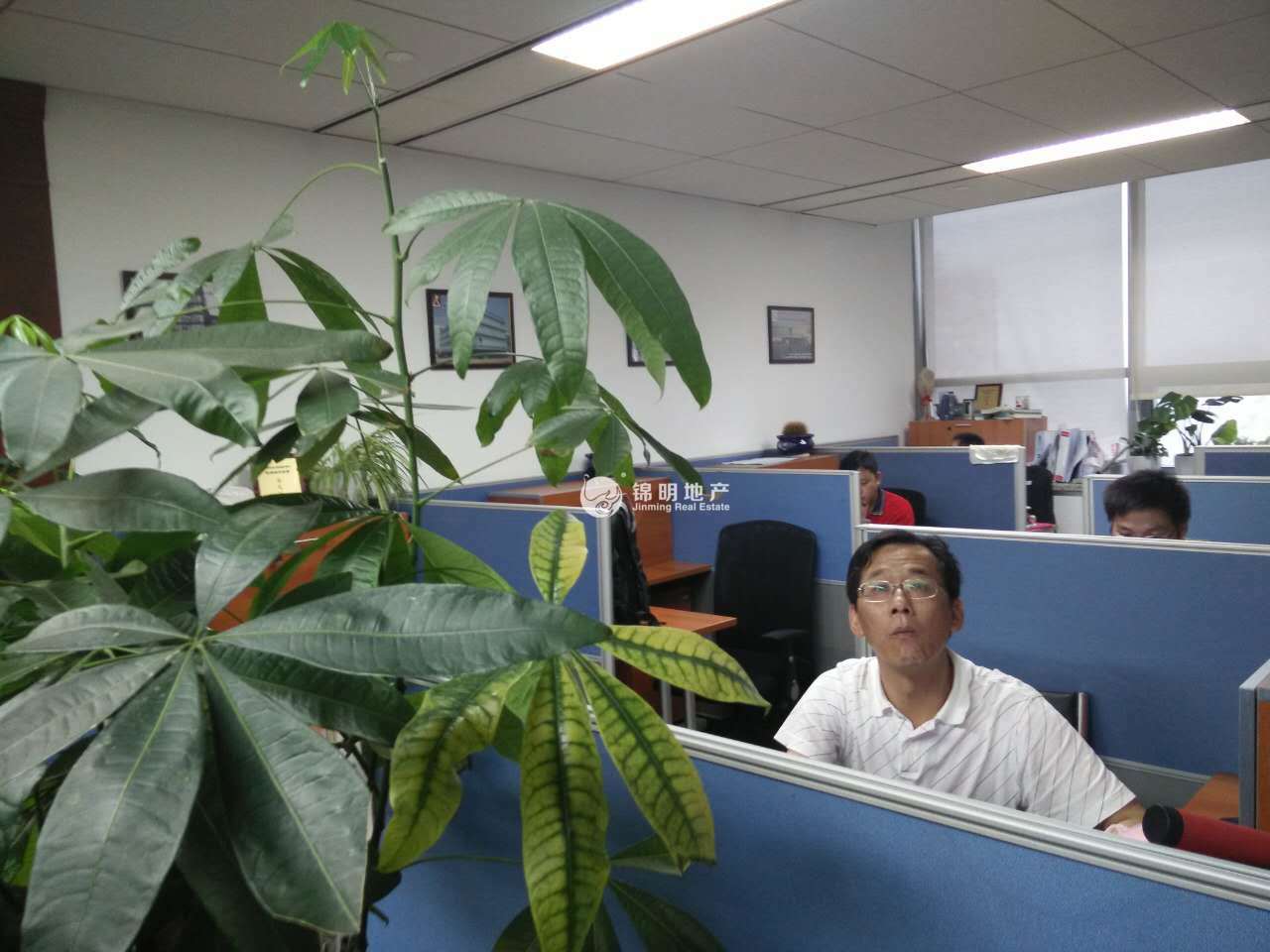 临平路虹业大楼300平米写字楼出租