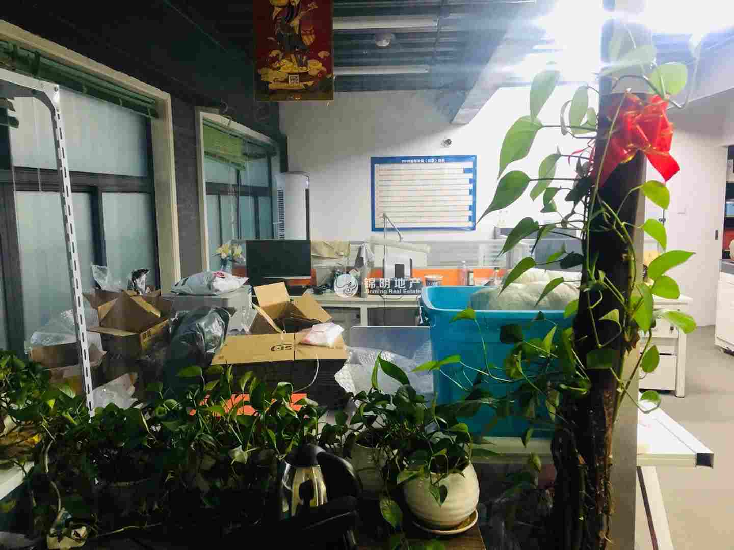 西藏北路兴中心创意园50平米写字楼出租