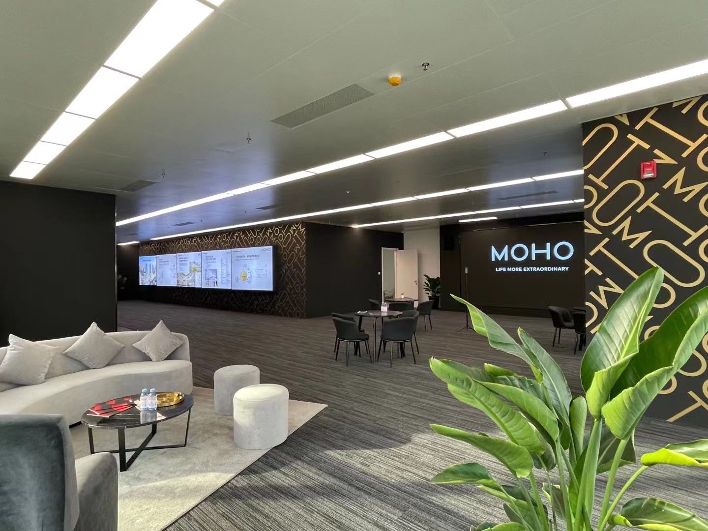 MOHO合生