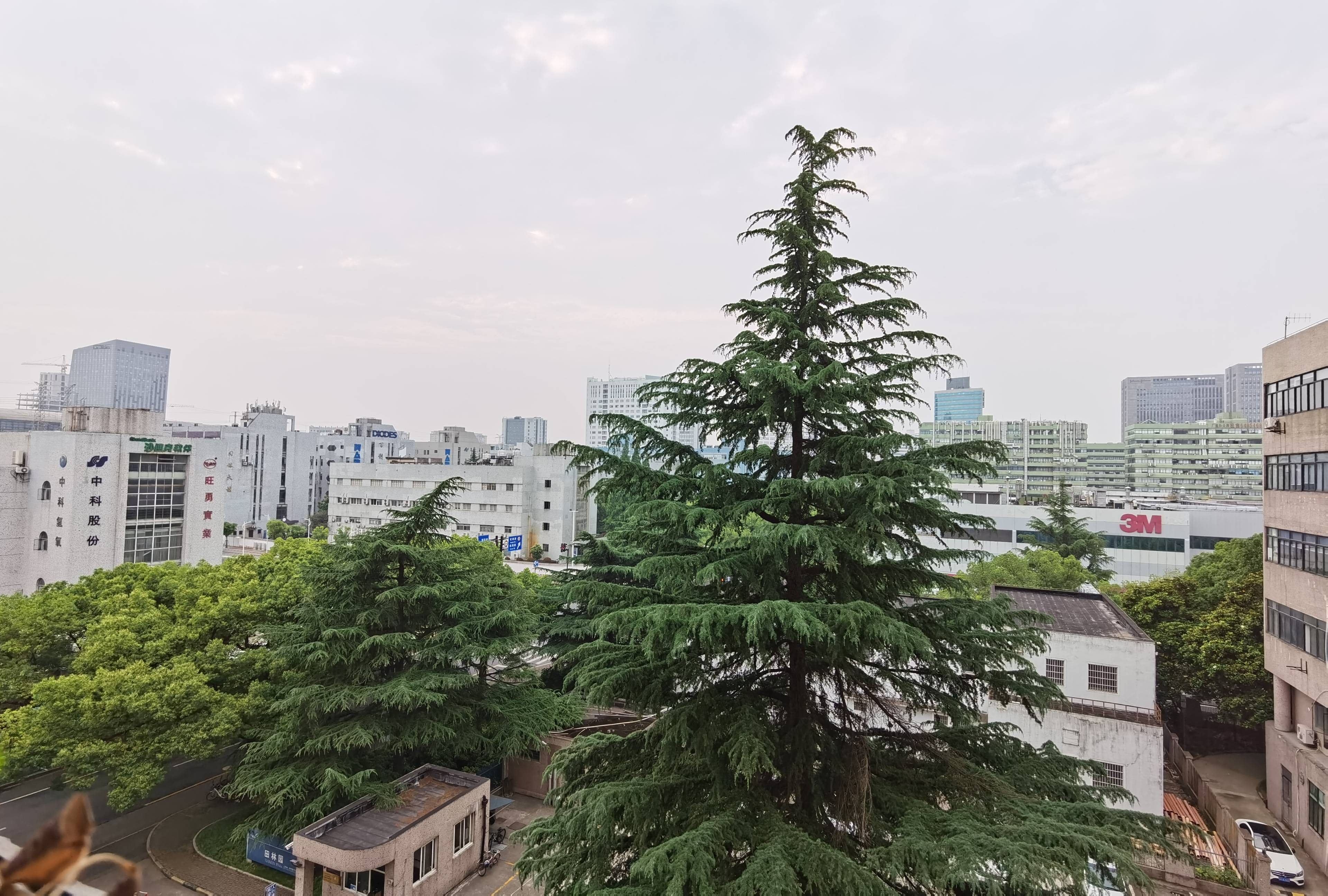 漕河泾田林园