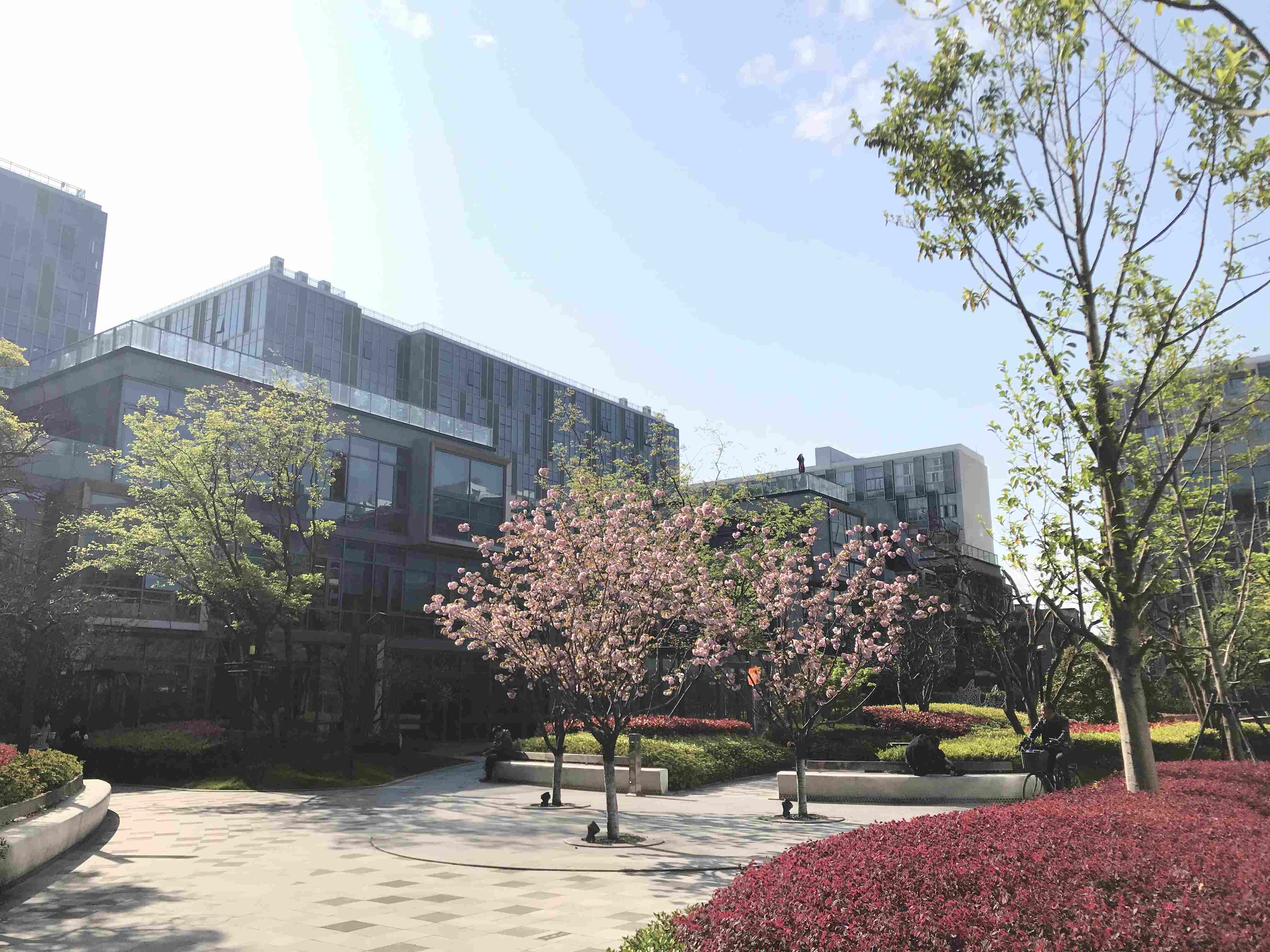 七宝万科七宝国际116平米写字楼出租