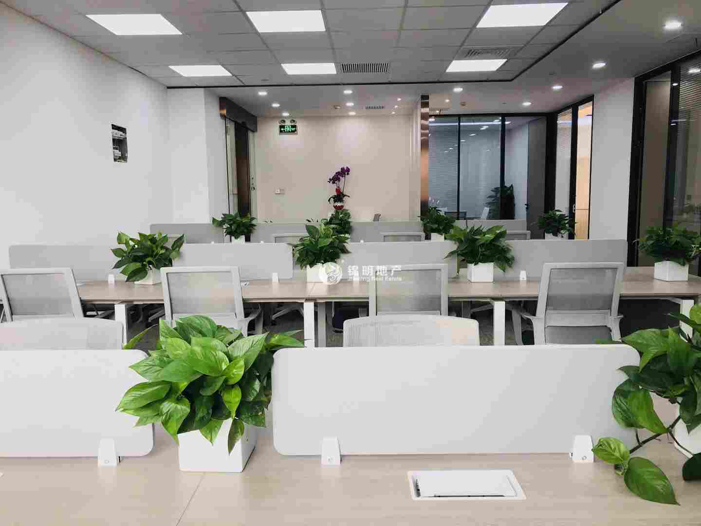 长征绿洲中环中心70平米写字楼出租