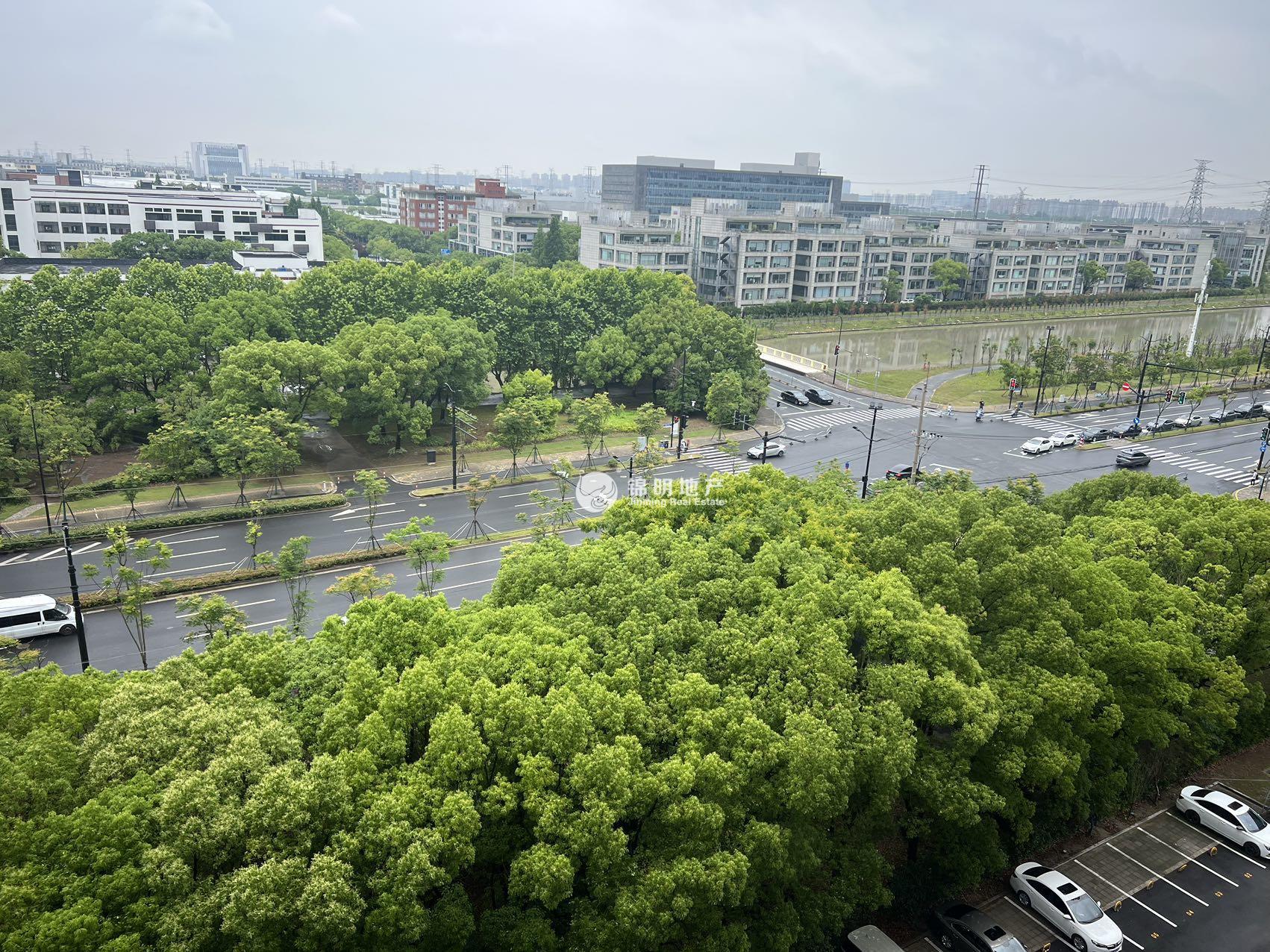 张江中兴通讯大厦337平米写字楼出租