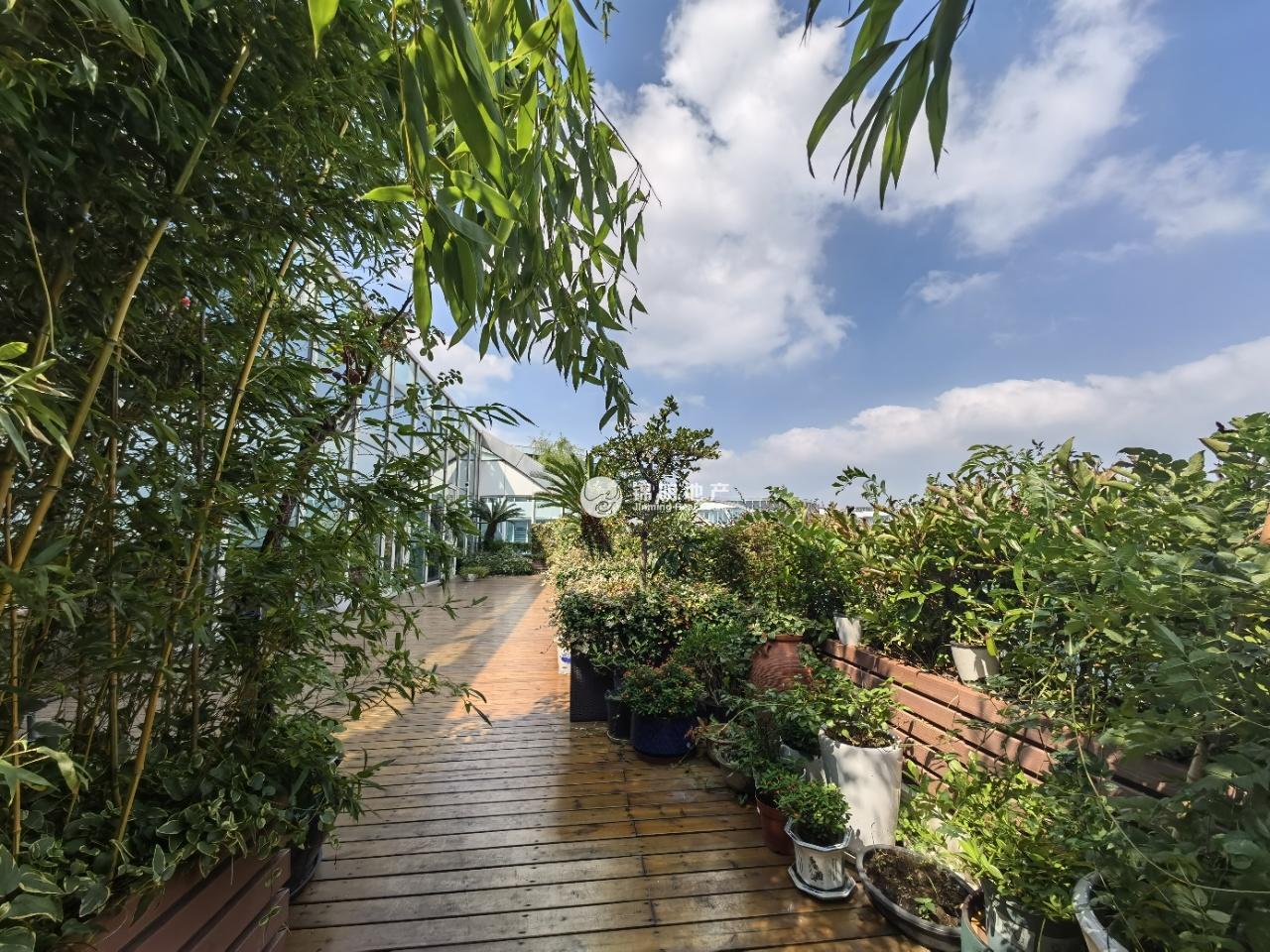 徐泾虹桥世界中心530平米写字楼出租