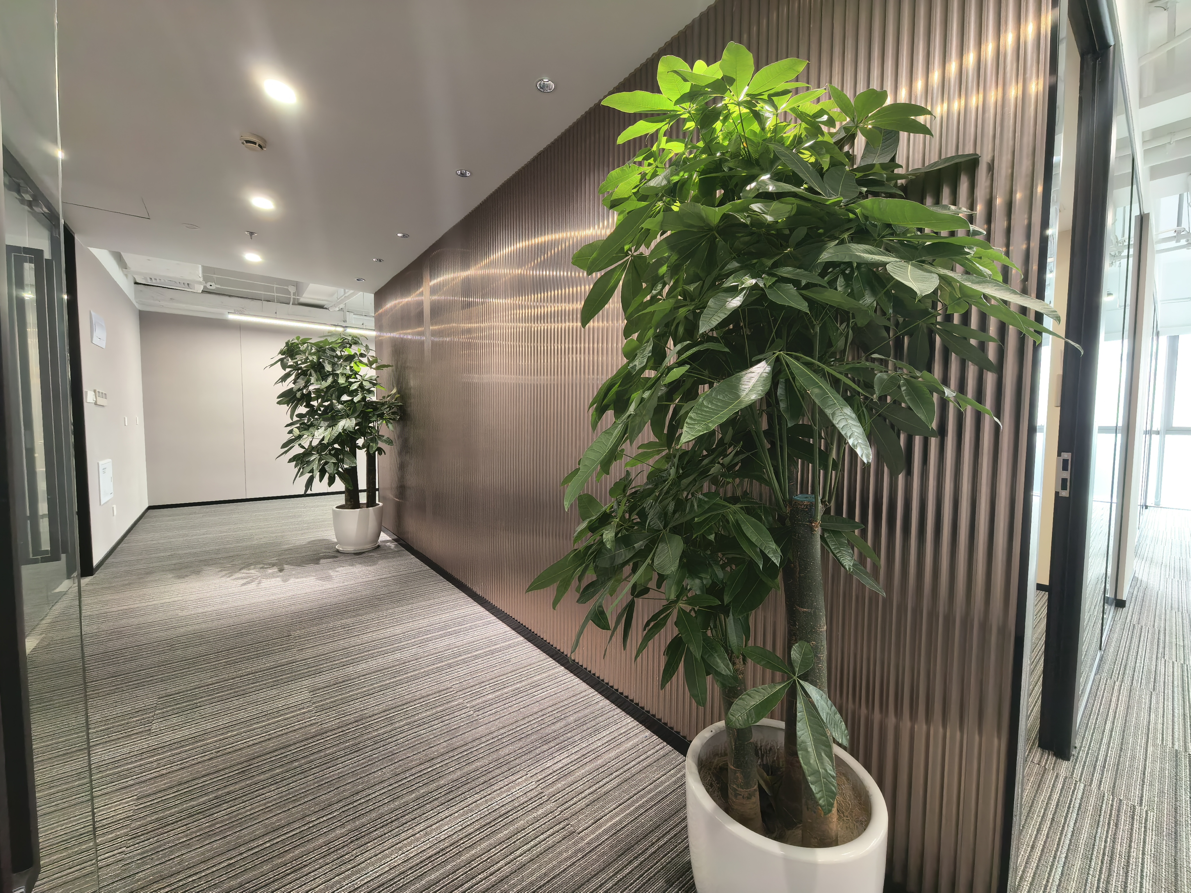 利星行广场180平米写字楼出租