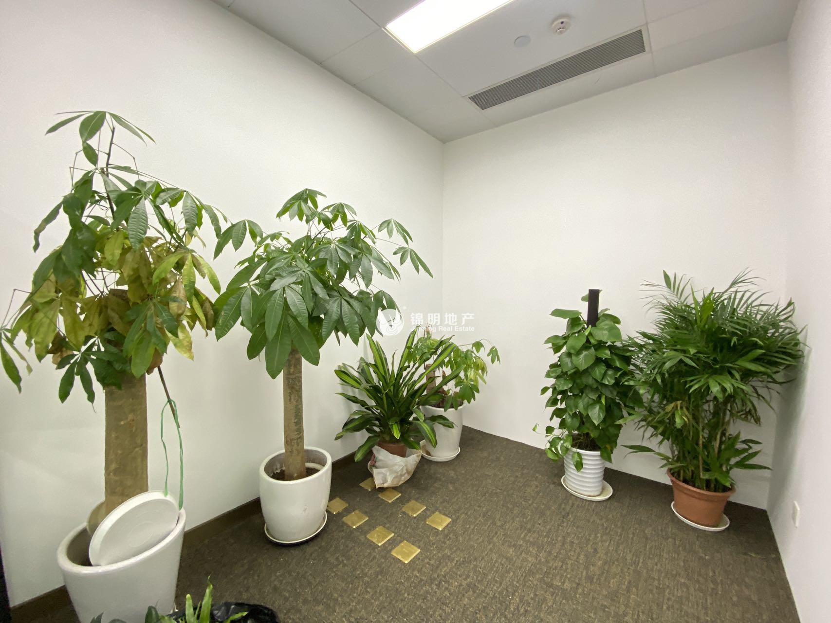 虹桥虹桥万通中心324平米写字楼出租