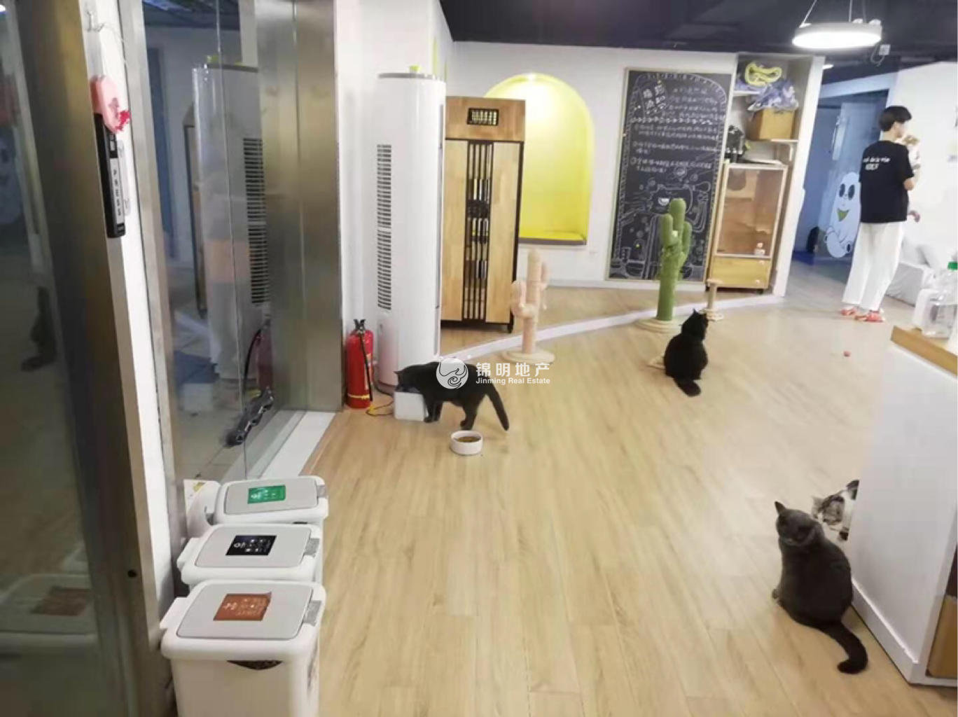 徐家汇汇嘉大厦217平米写字楼出租