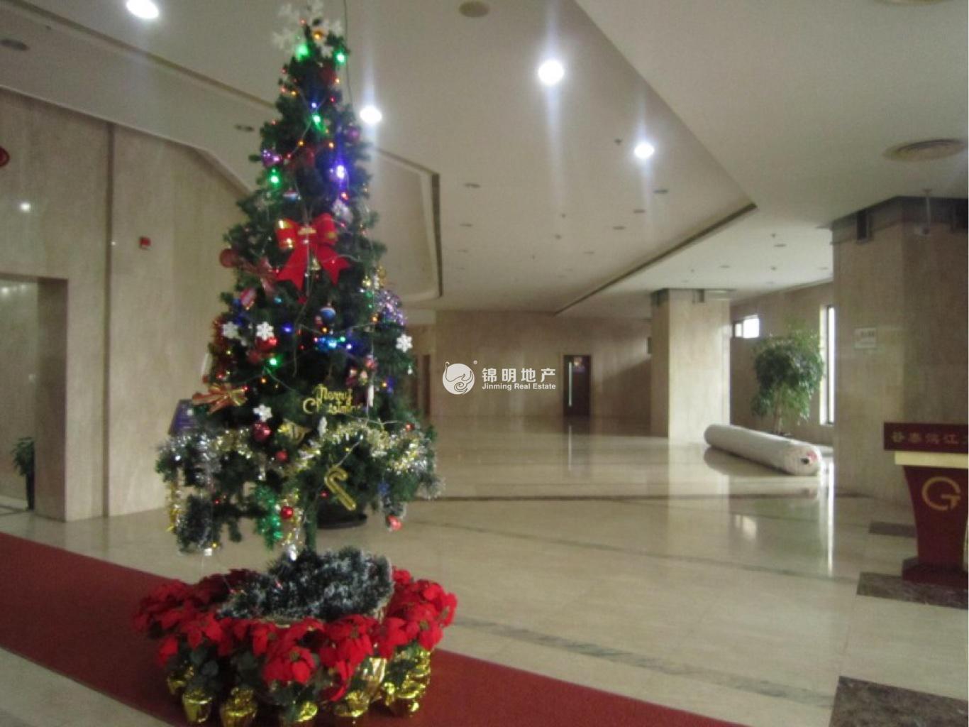 黄浦滨江谷泰滨江大厦242平米写字楼出租