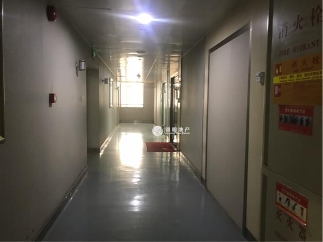 豫园金天地国际大厦53平米写字楼出租